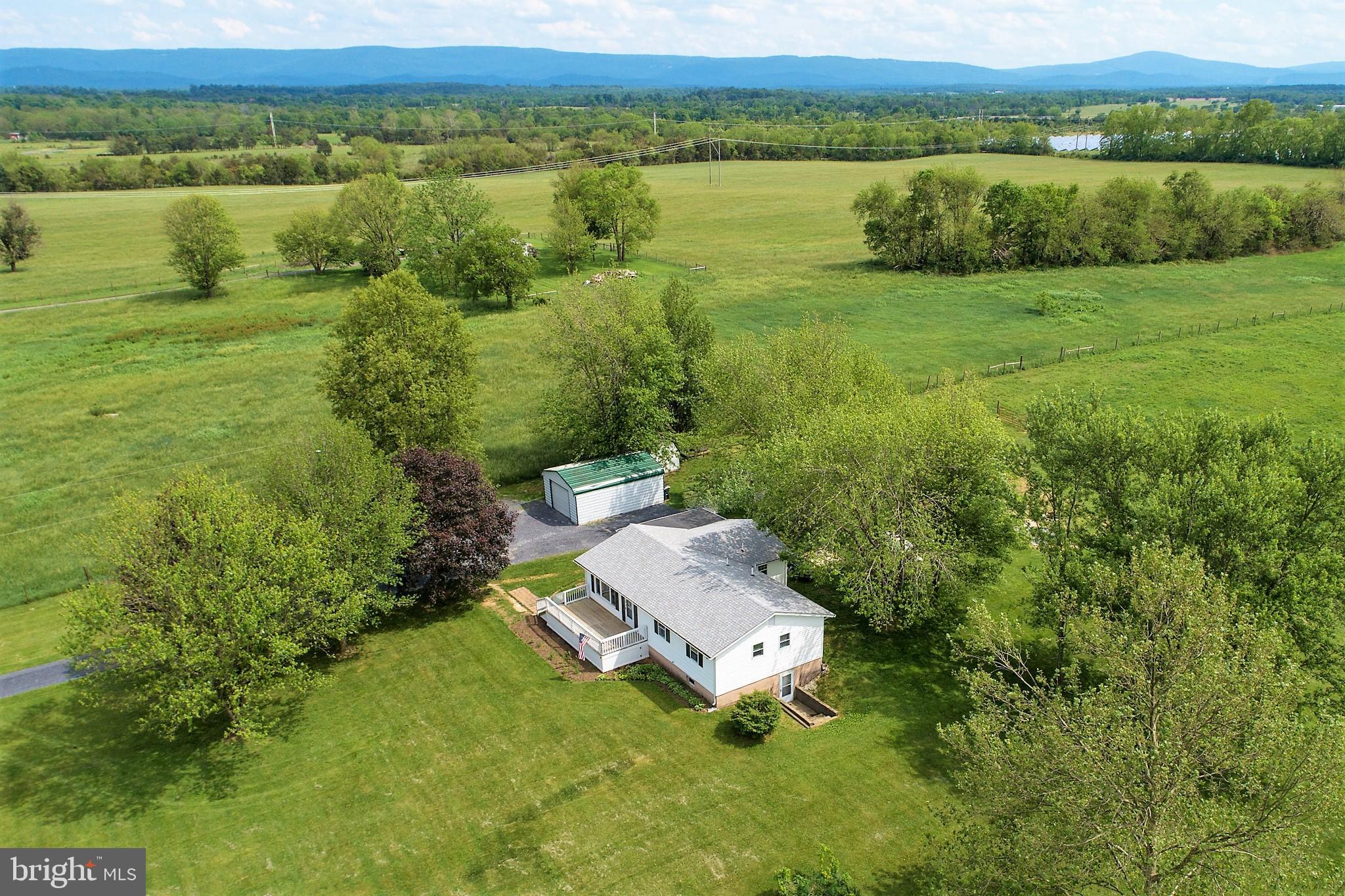 833 Nations Spring Road White Post, VA 22663 - Photo 11 of 15 Privacy, mature trees, lovely setting.