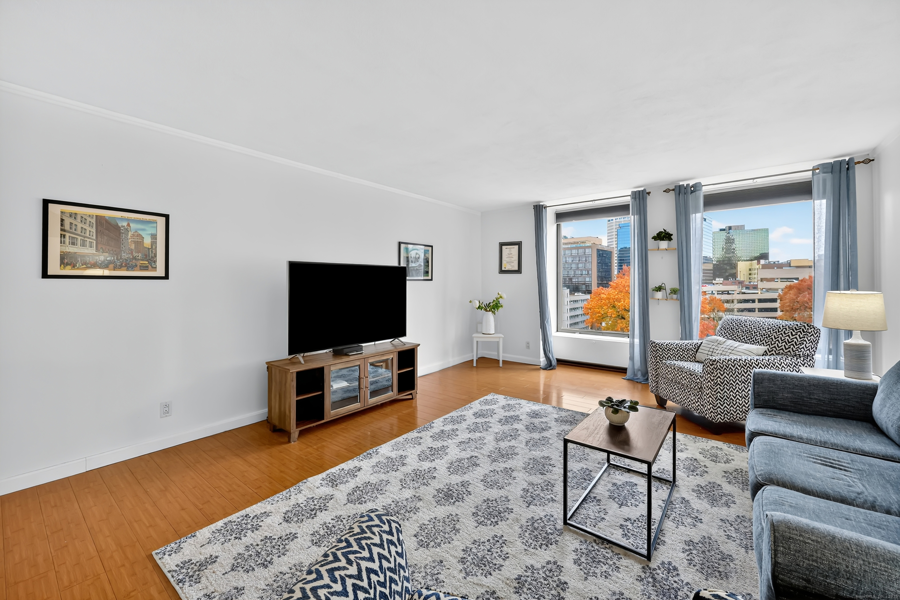 1 Gold Street, Unit 11D Hartford, CT 06103 - Photo 5 of 27