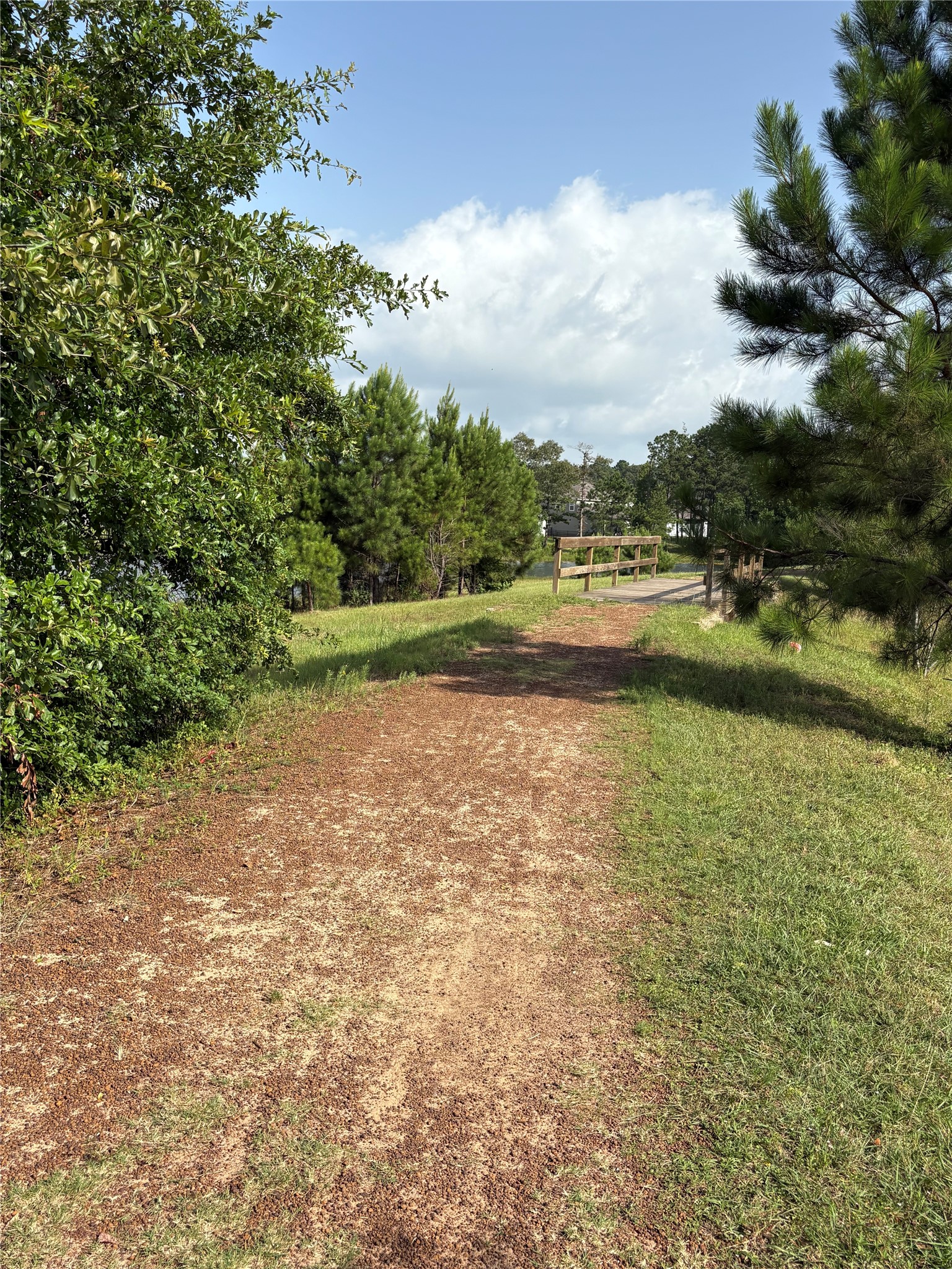 398 Shoreview Drive Conroe, TX 77303 - Photo 28 of 33 Quiet and private walking trail along the water