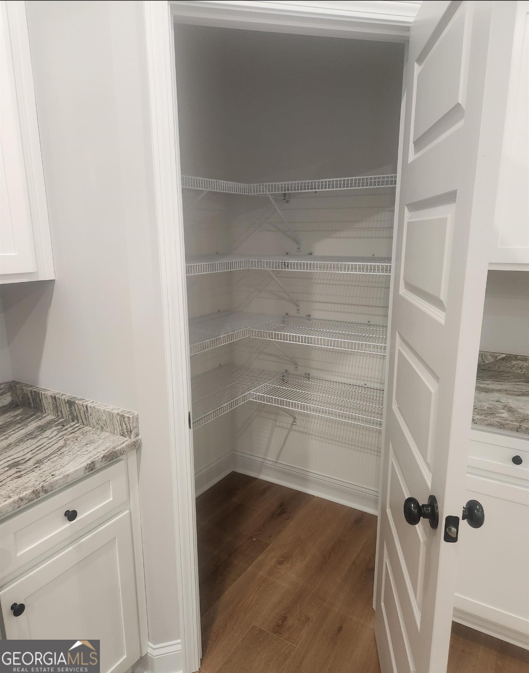 102 Silver Maple Court Byron, GA 31008 - Photo 10 of 17 a view of walk in closet with empty racks