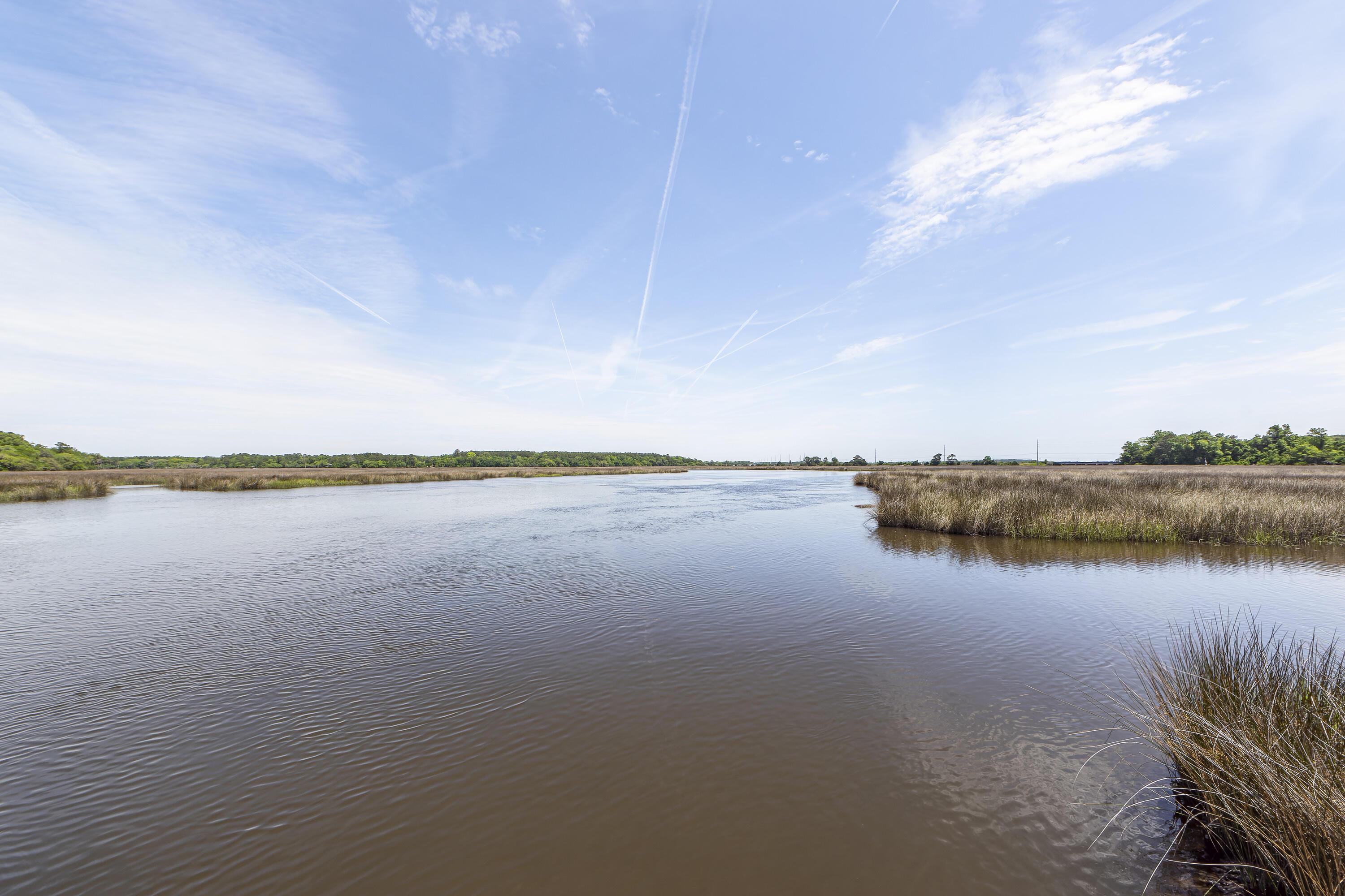 6071 Jacob's Point Boulevard Ravenel, SC 29470 - Photo 79 of 85 78