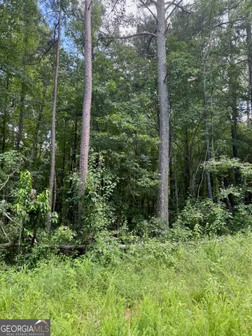 a view of outdoor space and green space