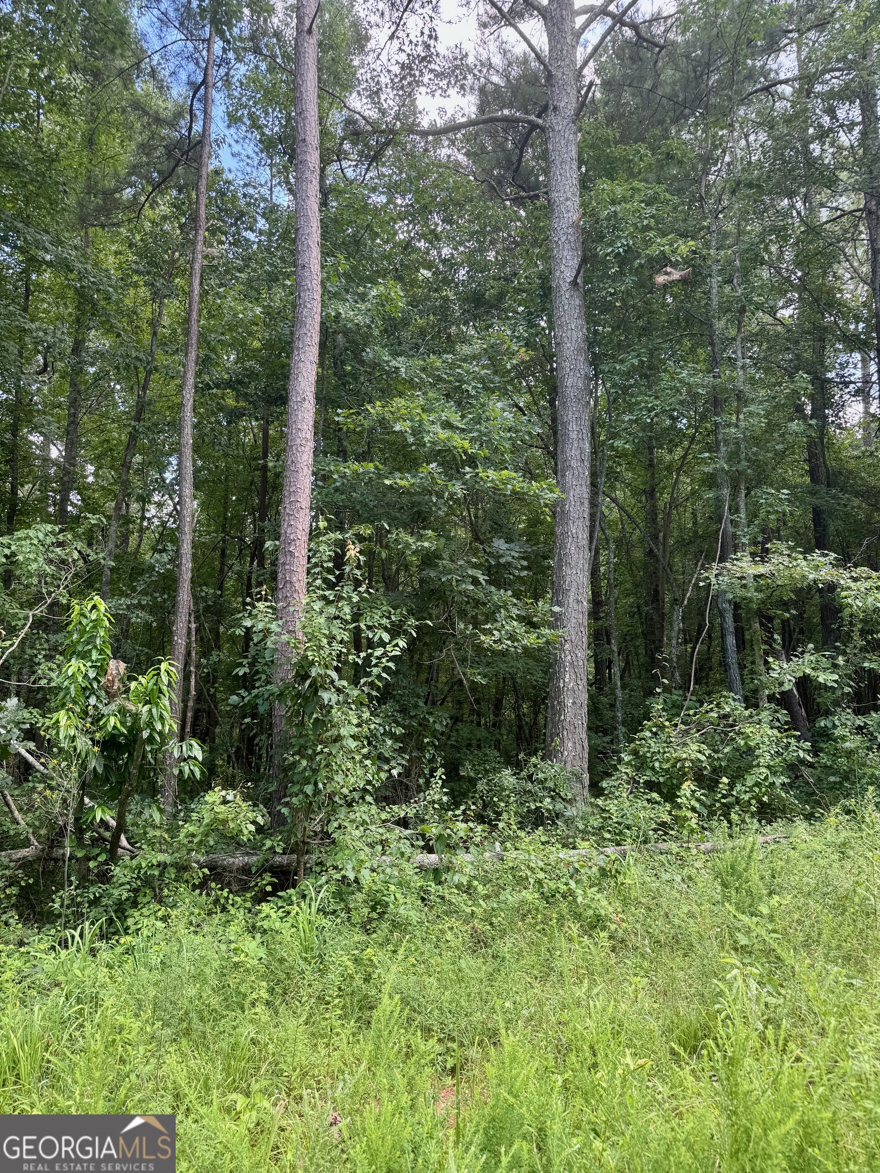 0 Cherokee Lane Buchanan, GA 30113 - Photo 1 of 1 a view of outdoor space and green space