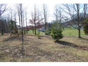 6436 A Hurricane Road, Unit 1 Wise, VA 24293 - Photo 3 of 7 View from the Front