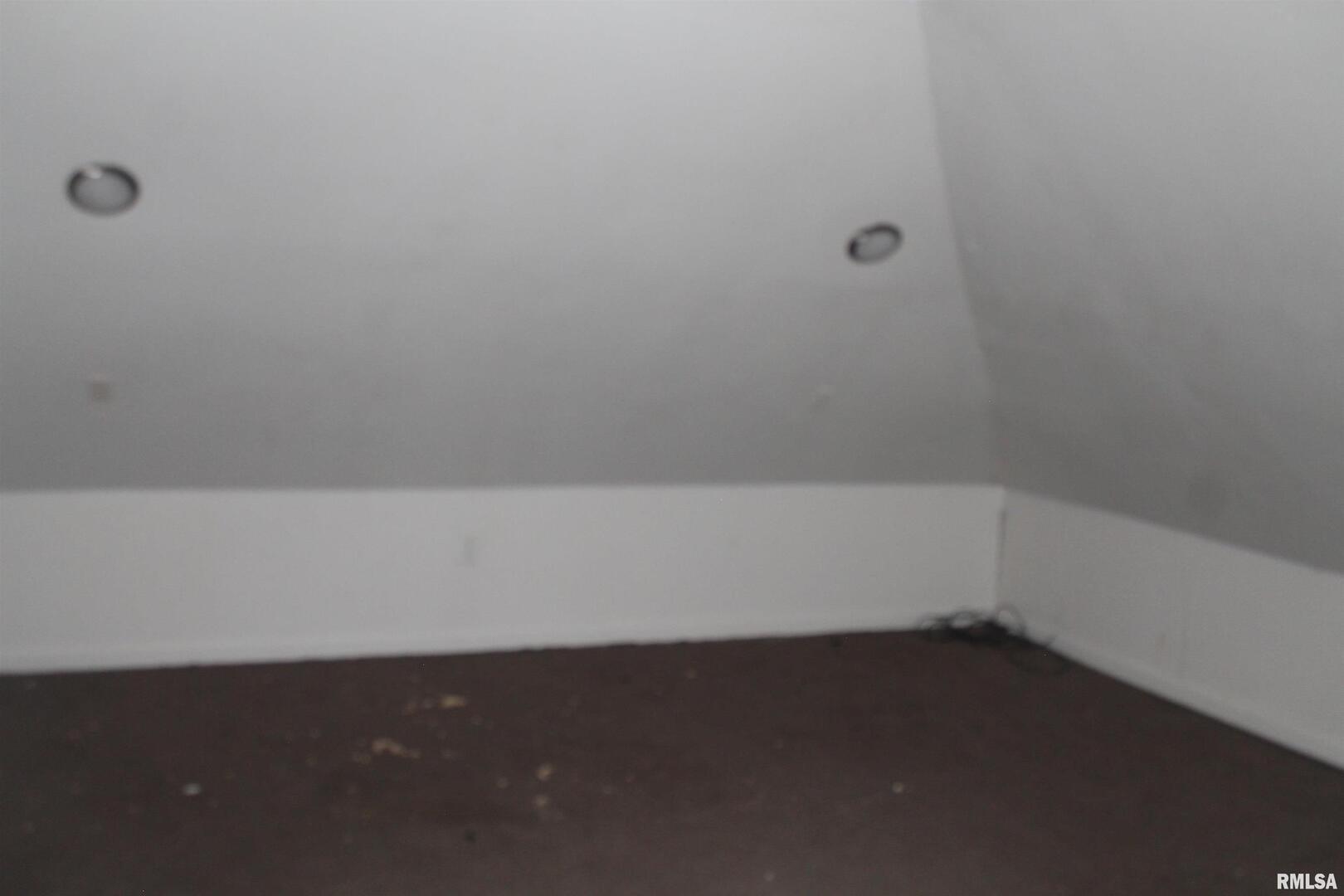 502 West Freeman Street, Unit 1 Carbondale, IL 62901 - Photo 12 of 17