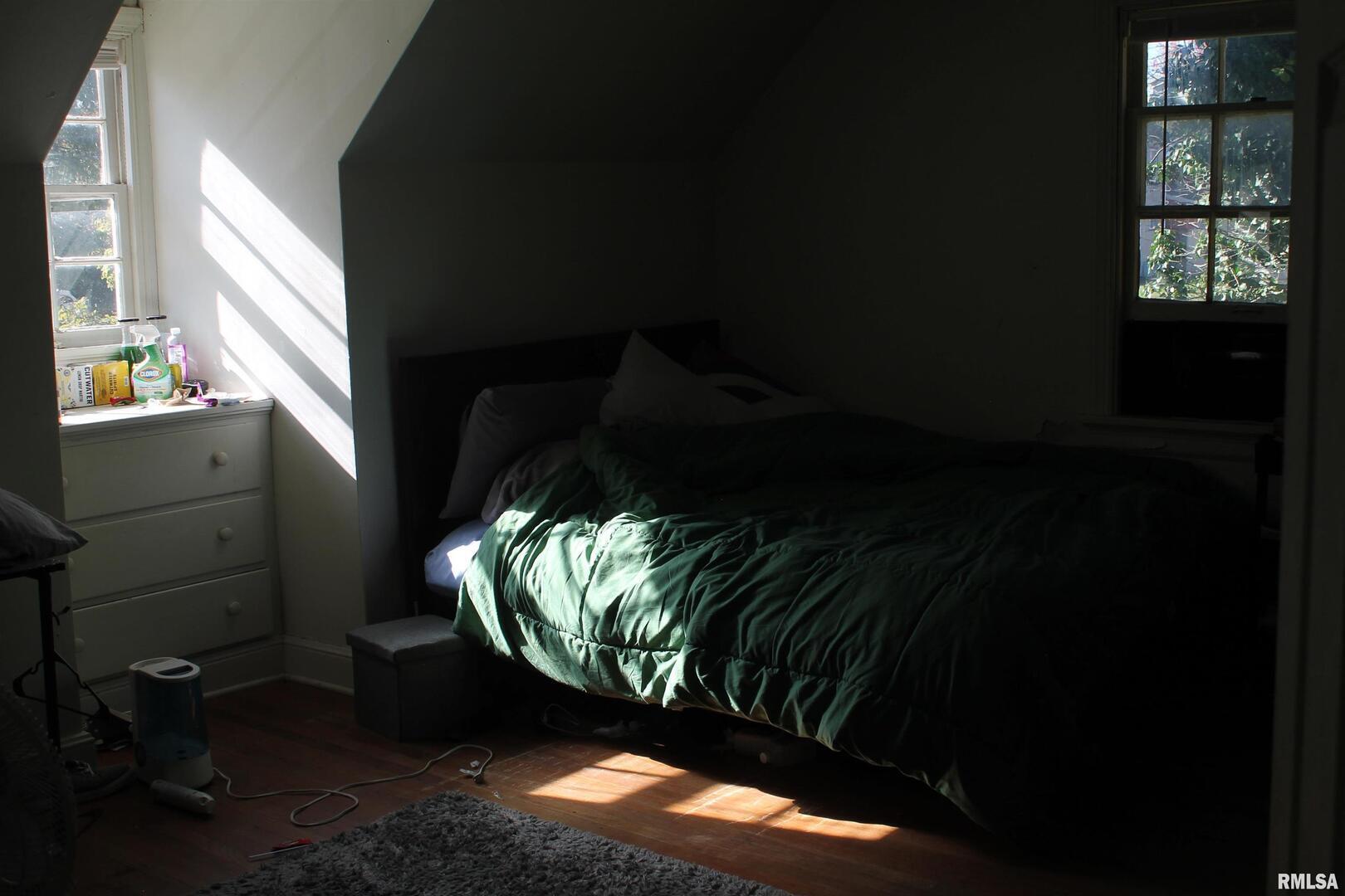 502 West Freeman Street, Unit 1 Carbondale, IL 62901 - Photo 17 of 17 a close up of a plant in a pot