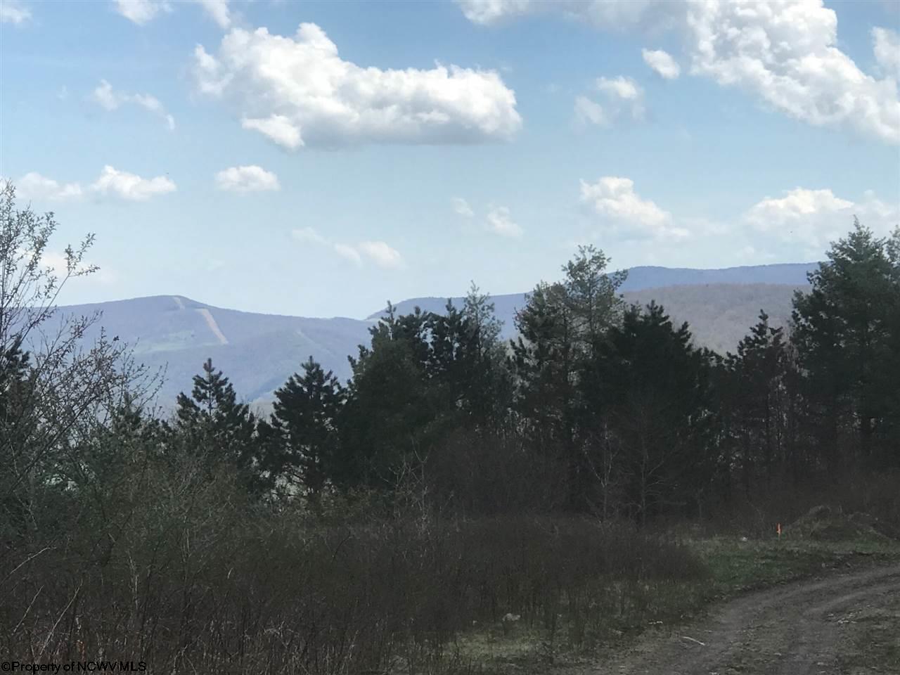 0 Haines Knob Road Harman, WV 26270 - Photo 11 of 20 Gallery Image 11