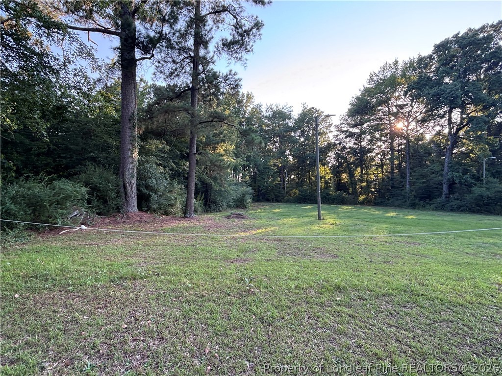595 Shaw Road St. Pauls, NC 28384 - Photo 9 of 29