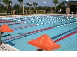 32-167 Riverview Road Navarre, FL 32566 - Photo 8 of 11 a view of a swimming pool and outdoor space
