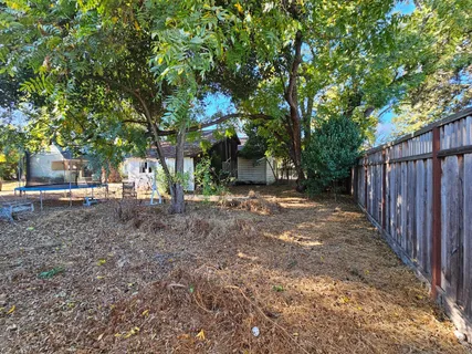 a view of a backyard with large trees and plants