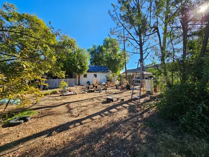 a view of backyard with tree