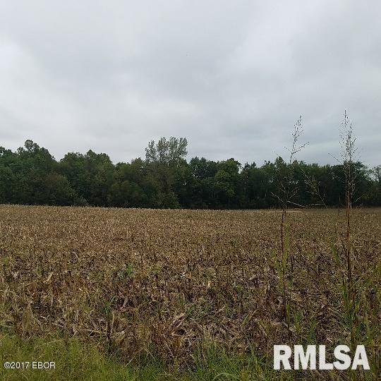 503 Wessenberg Road Villa Ridge, IL 62996 - Photo 1 of 8
