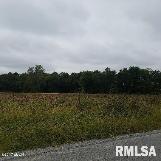 503 Wessenberg Road Villa Ridge, IL 62996 - Photo 5 of 8