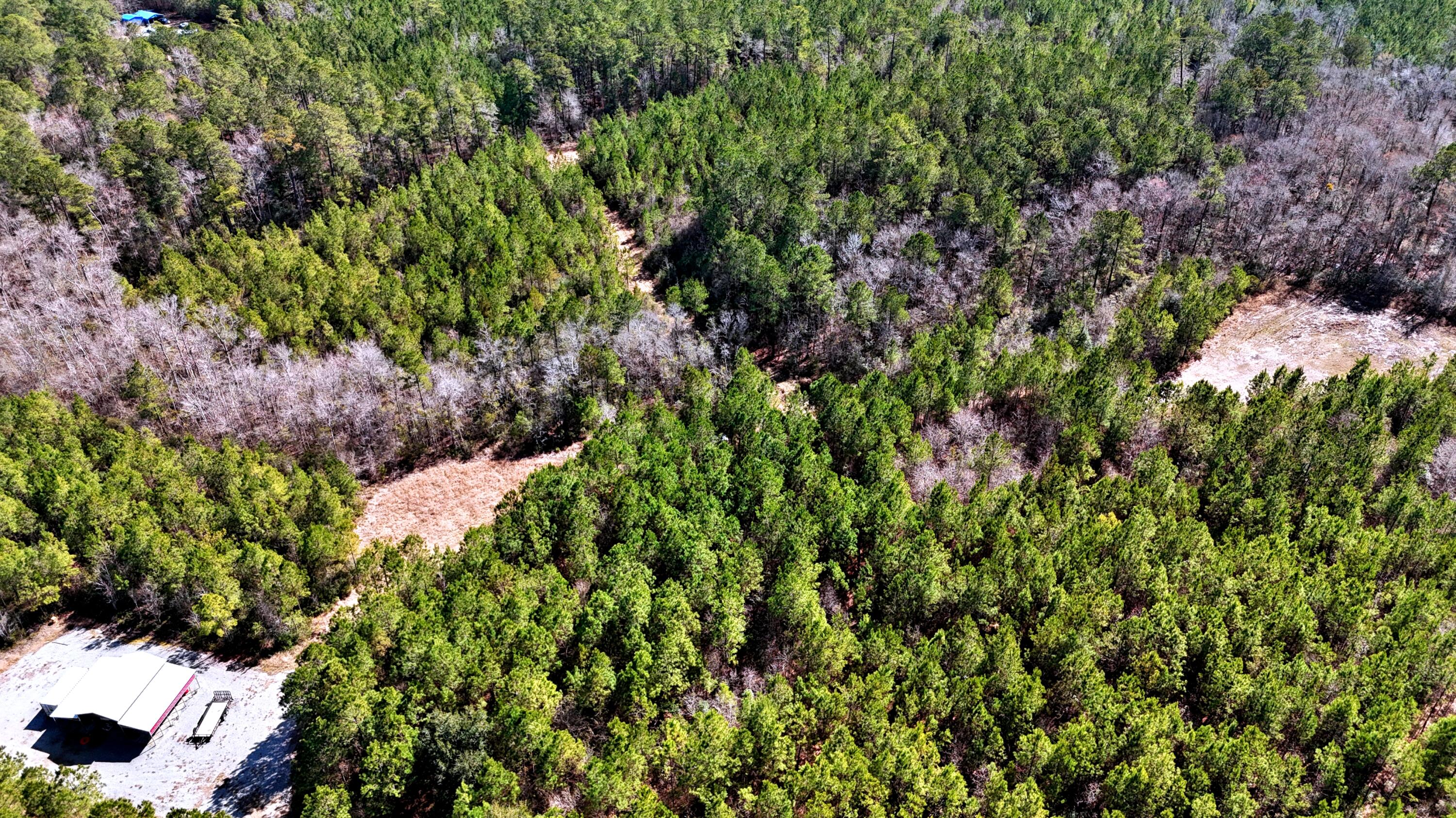 1837 Columbus Road Georgetown, SC 29440 - Photo 16 of 41 dji_fly_20260217_124000_0078_17725592388