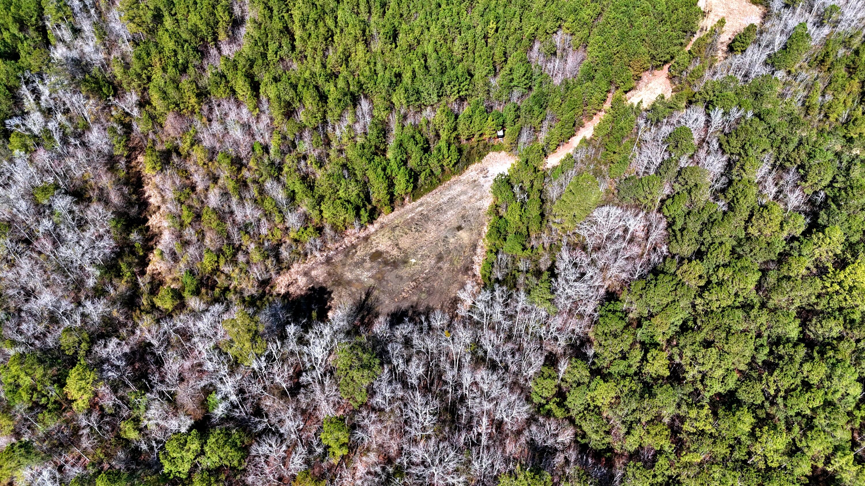 1837 Columbus Road Georgetown, SC 29440 - Photo 17 of 41 dji_fly_20260217_124232_0081_17725591902
