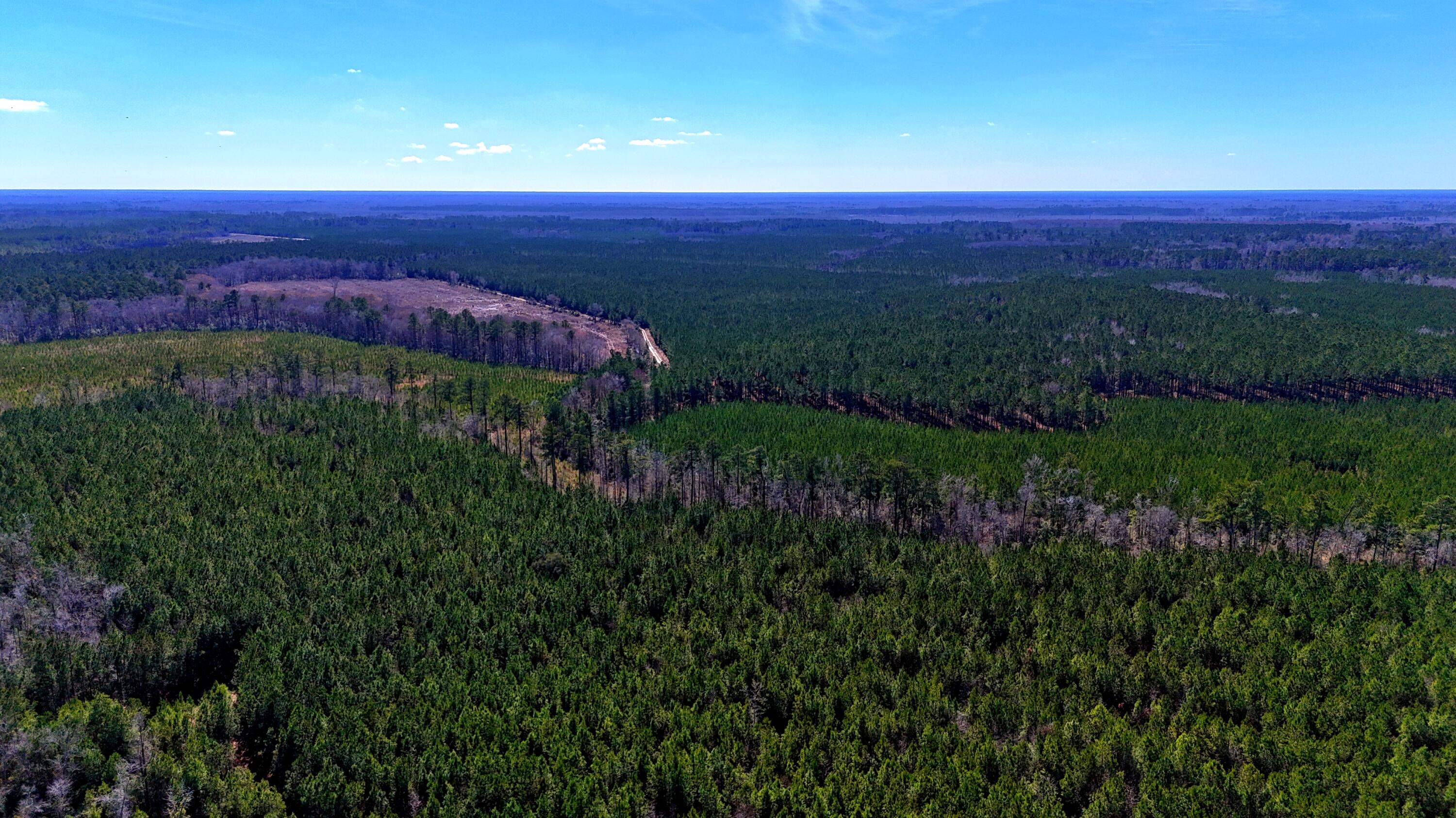 1837 Columbus Road Georgetown, SC 29440 - Photo 18 of 41 dji_fly_20260217_124320_0088_17725591878