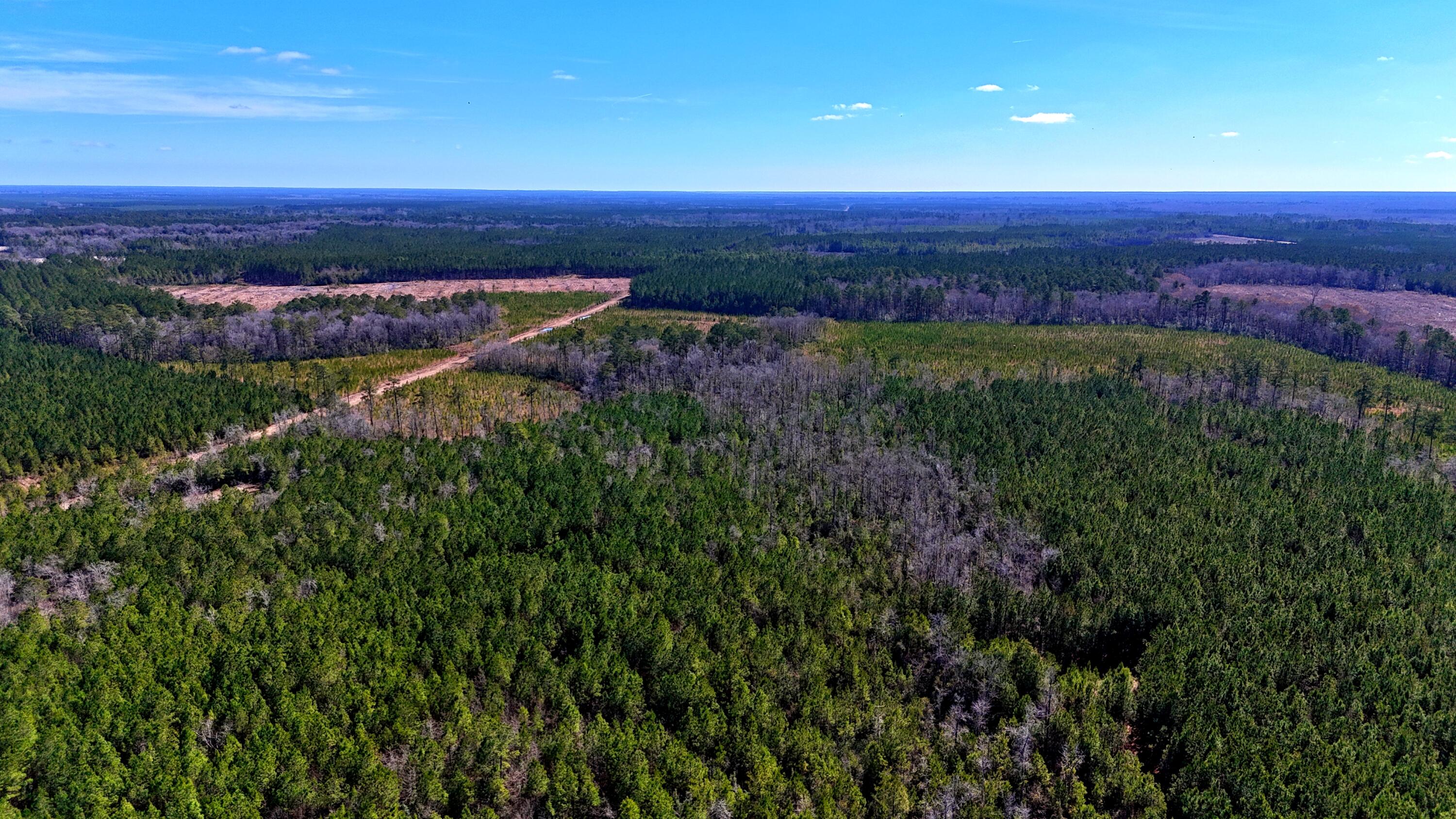 1837 Columbus Road Georgetown, SC 29440 - Photo 19 of 41 dji_fly_20260217_124322_0089_17725591876