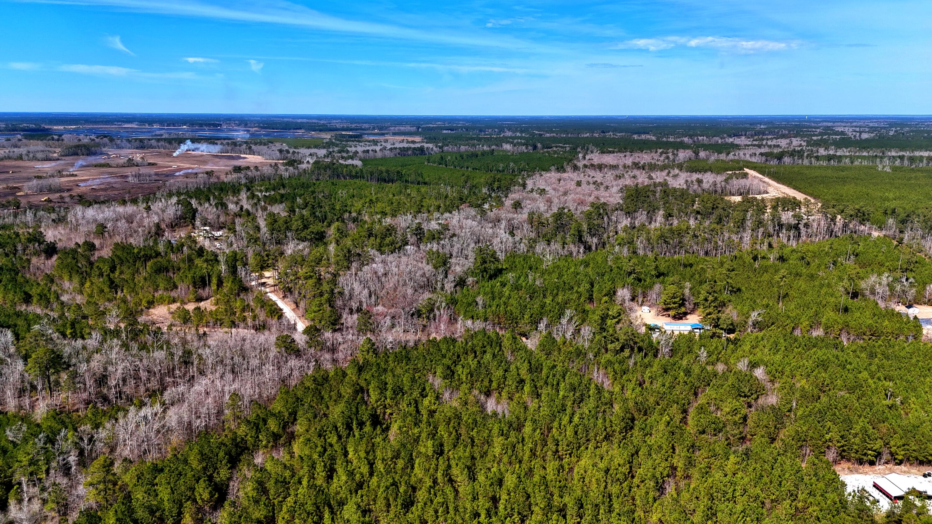 1837 Columbus Road Georgetown, SC 29440 - Photo 20 of 41 dji_fly_20260217_124330_0090_17725591873