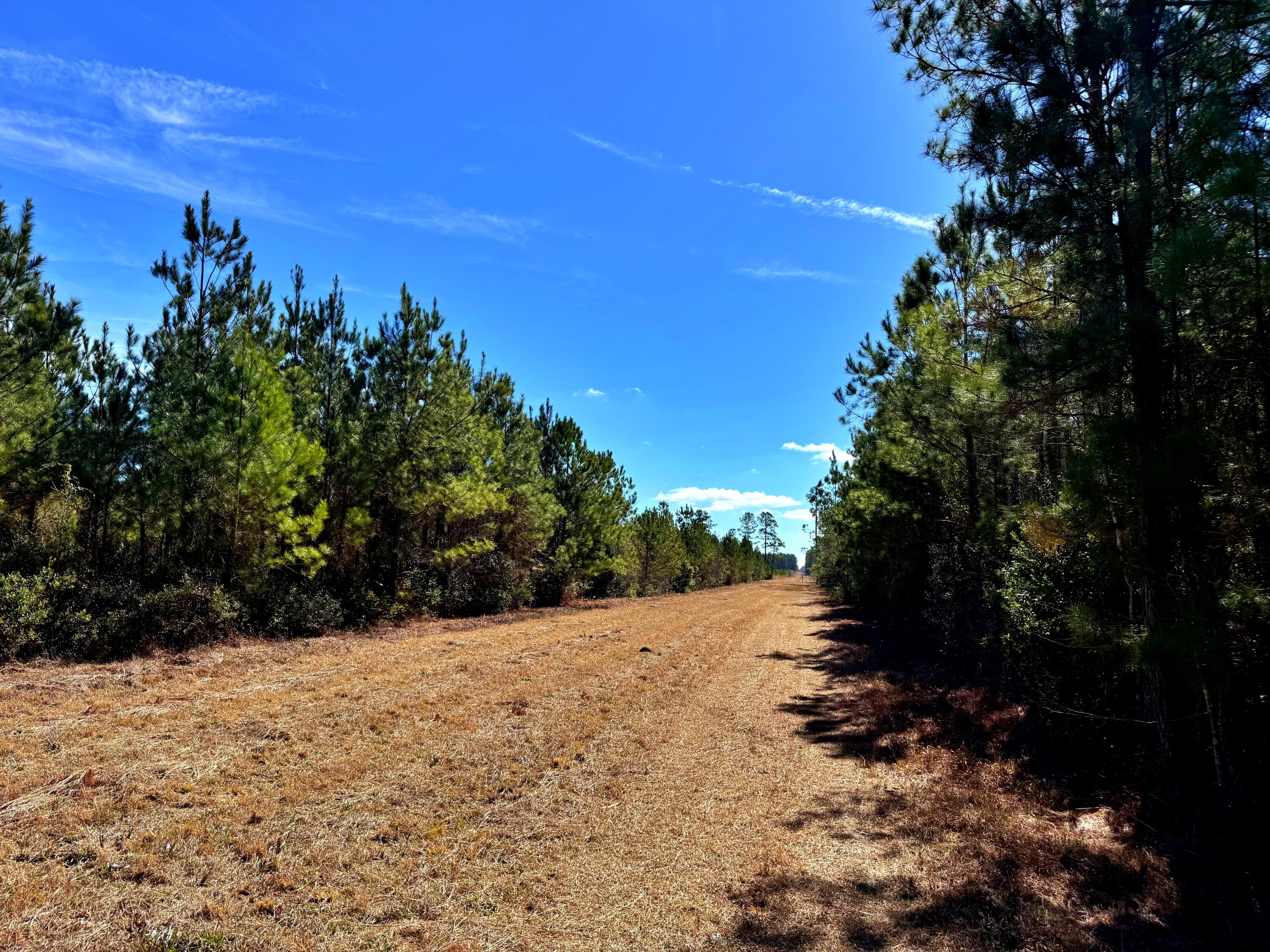 1837 Columbus Road Georgetown, SC 29440 - Photo 2 of 41 2
