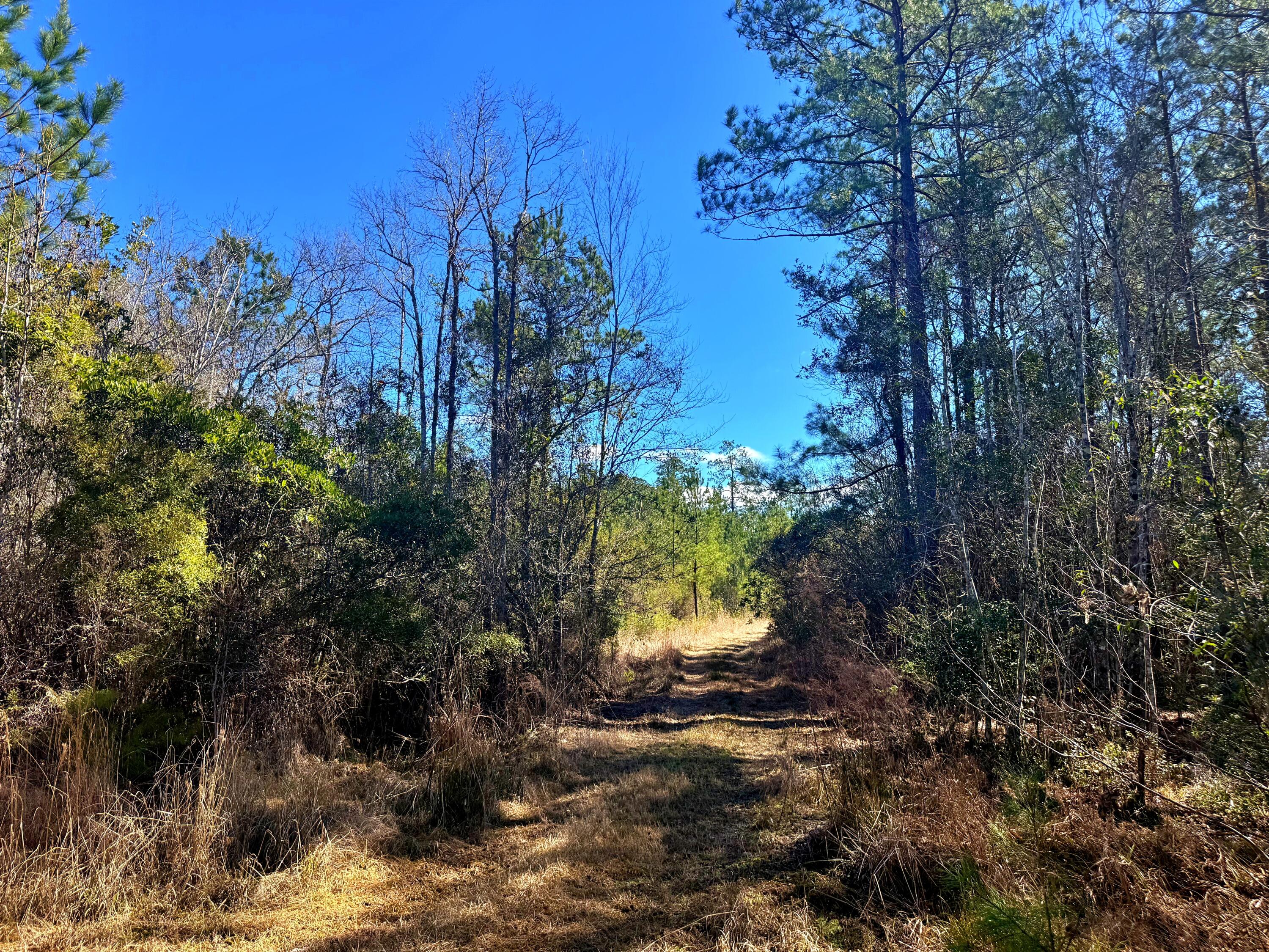 1837 Columbus Road Georgetown, SC 29440 - Photo 23 of 41 IMG_8207
