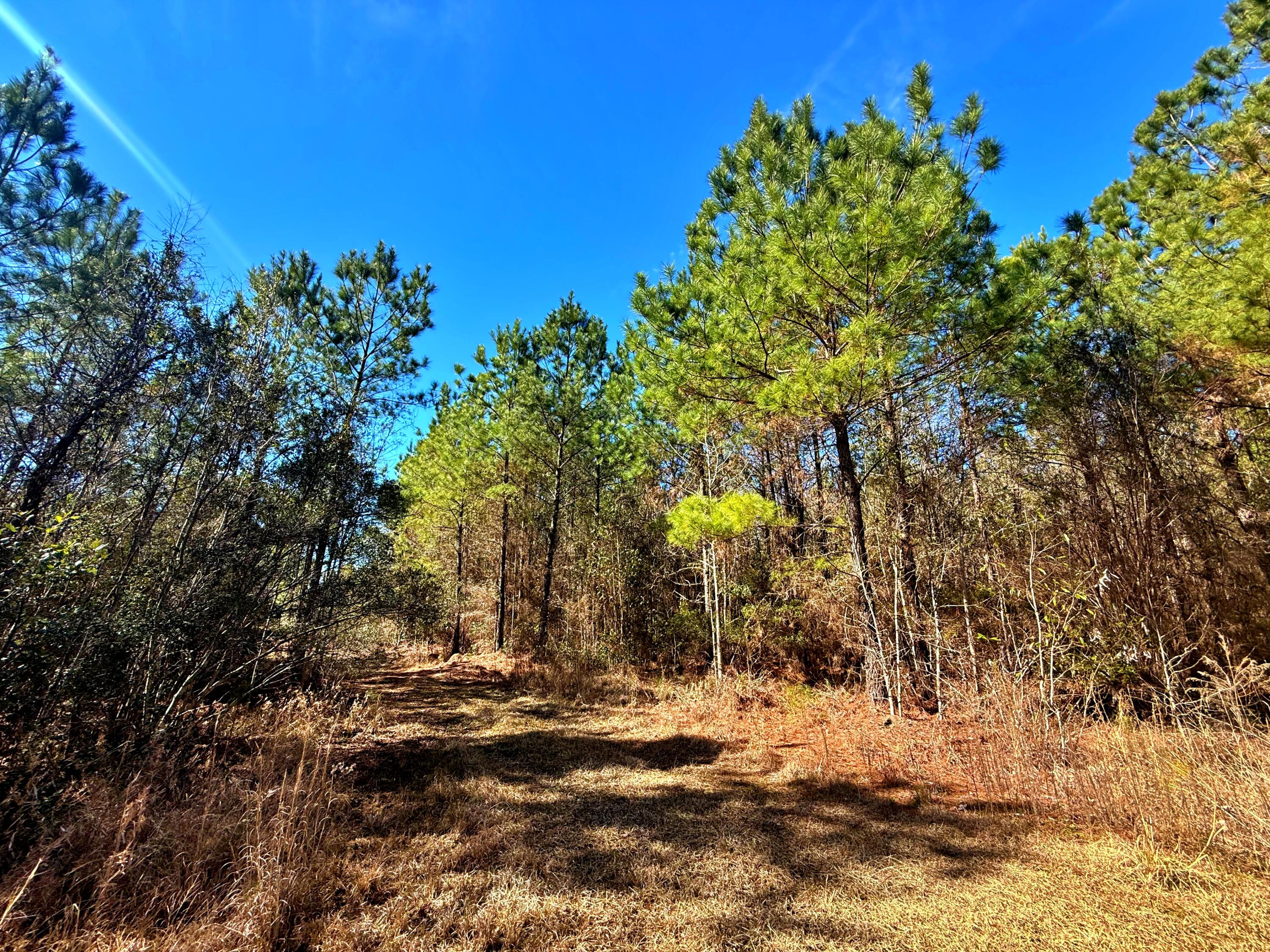 1837 Columbus Road Georgetown, SC 29440 - Photo 24 of 41 IMG_8208