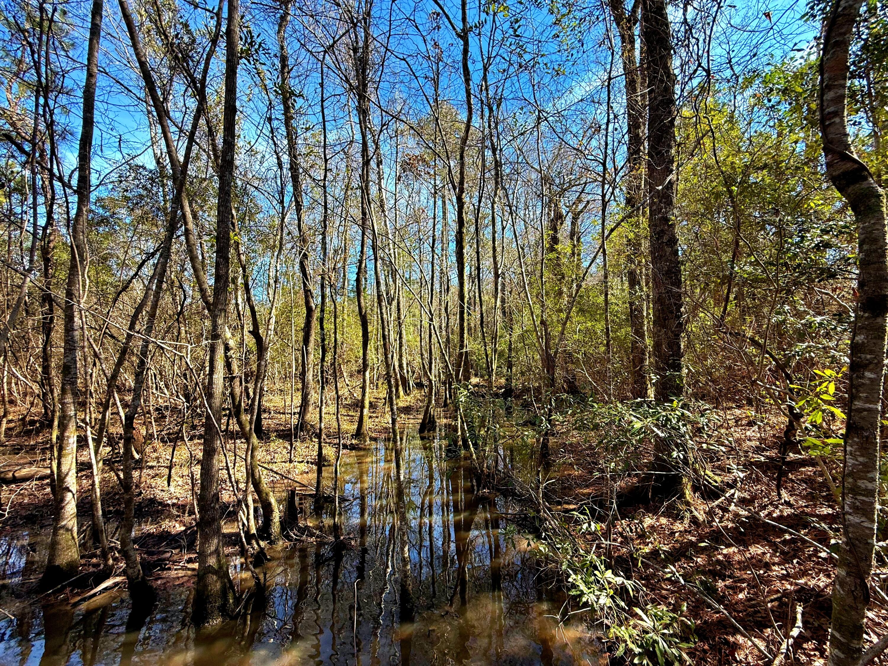 1837 Columbus Road Georgetown, SC 29440 - Photo 26 of 41 IMG_8214