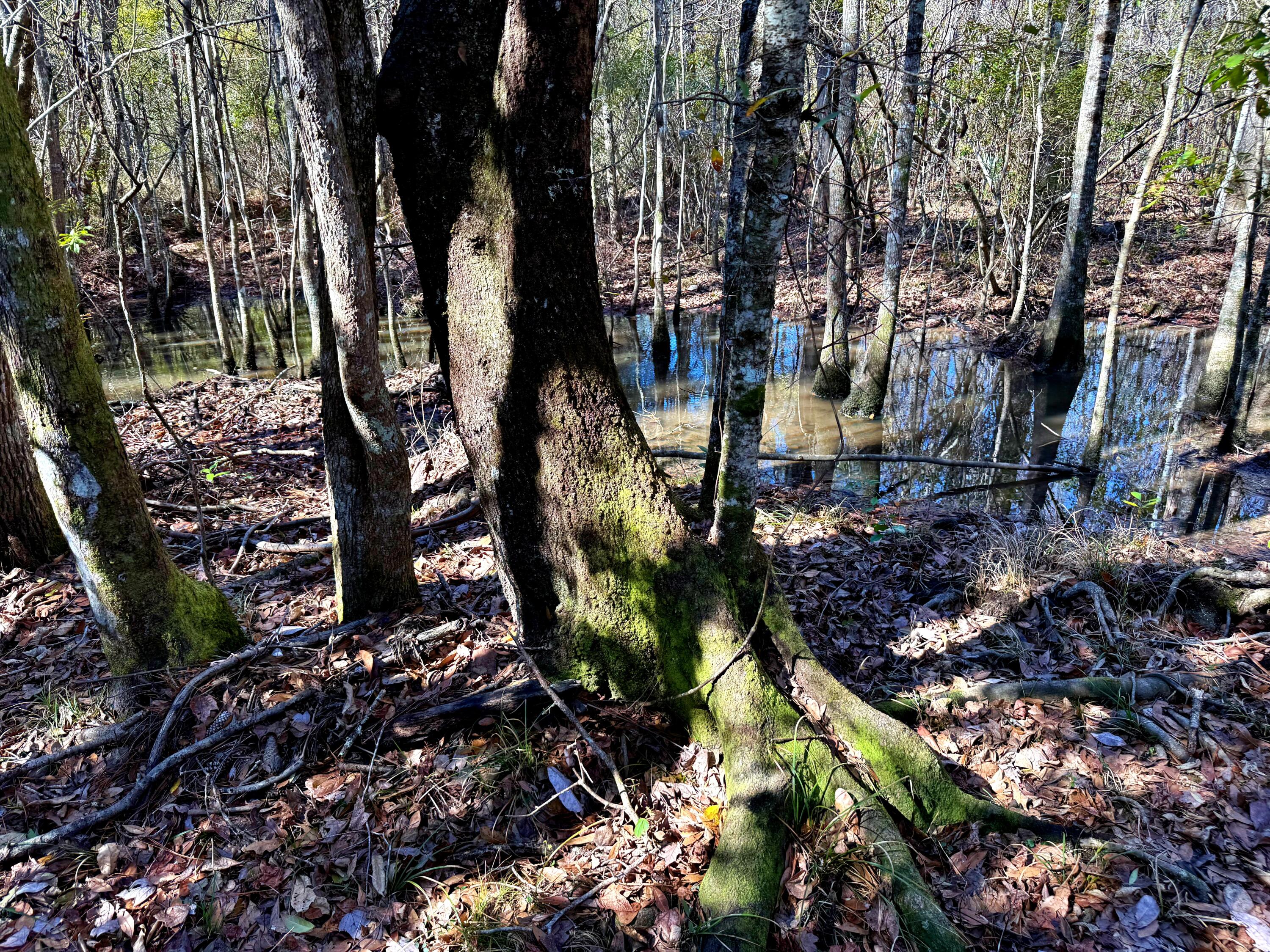 1837 Columbus Road Georgetown, SC 29440 - Photo 27 of 41 IMG_8218