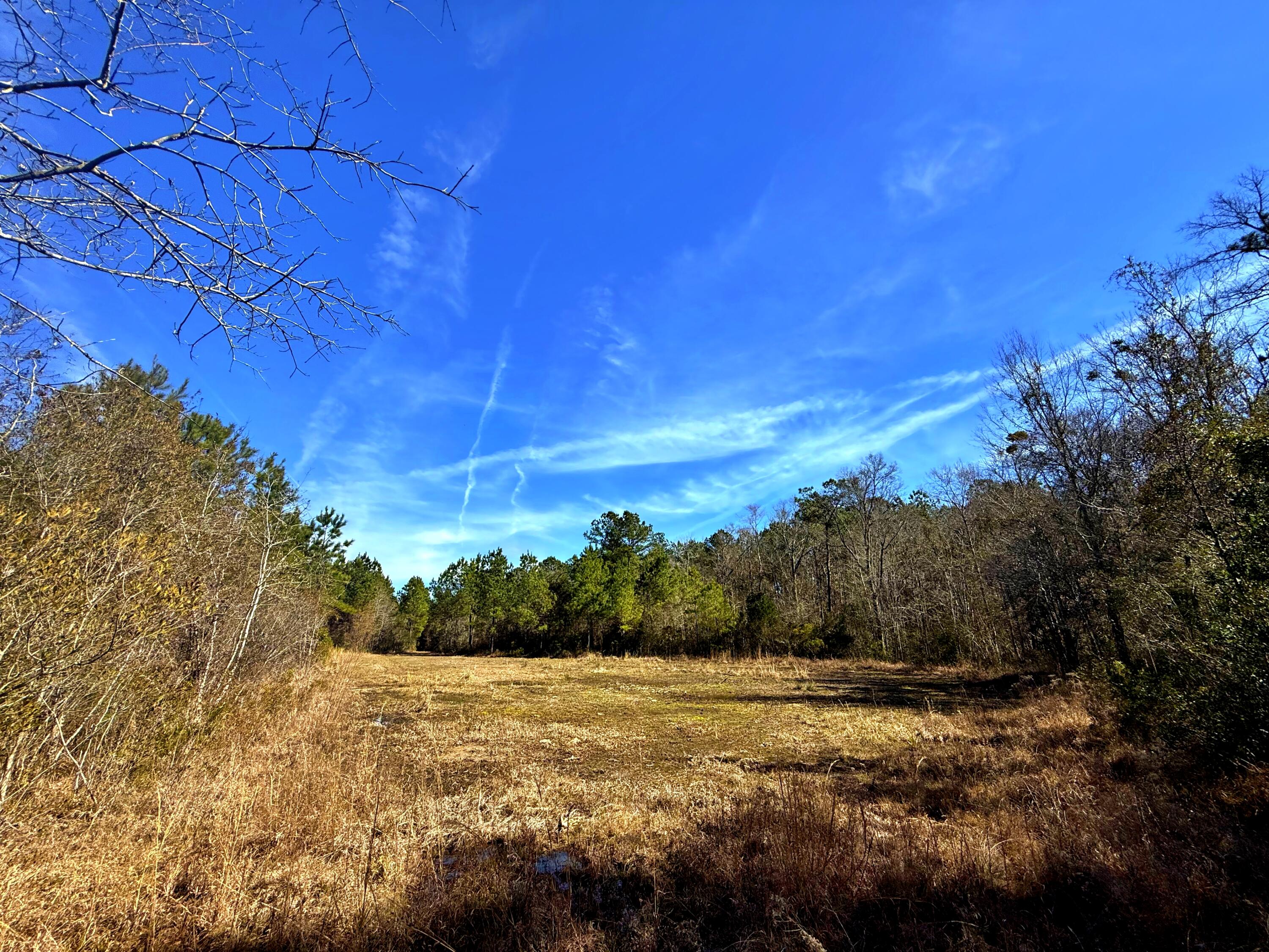 1837 Columbus Road Georgetown, SC 29440 - Photo 28 of 41 IMG_8221