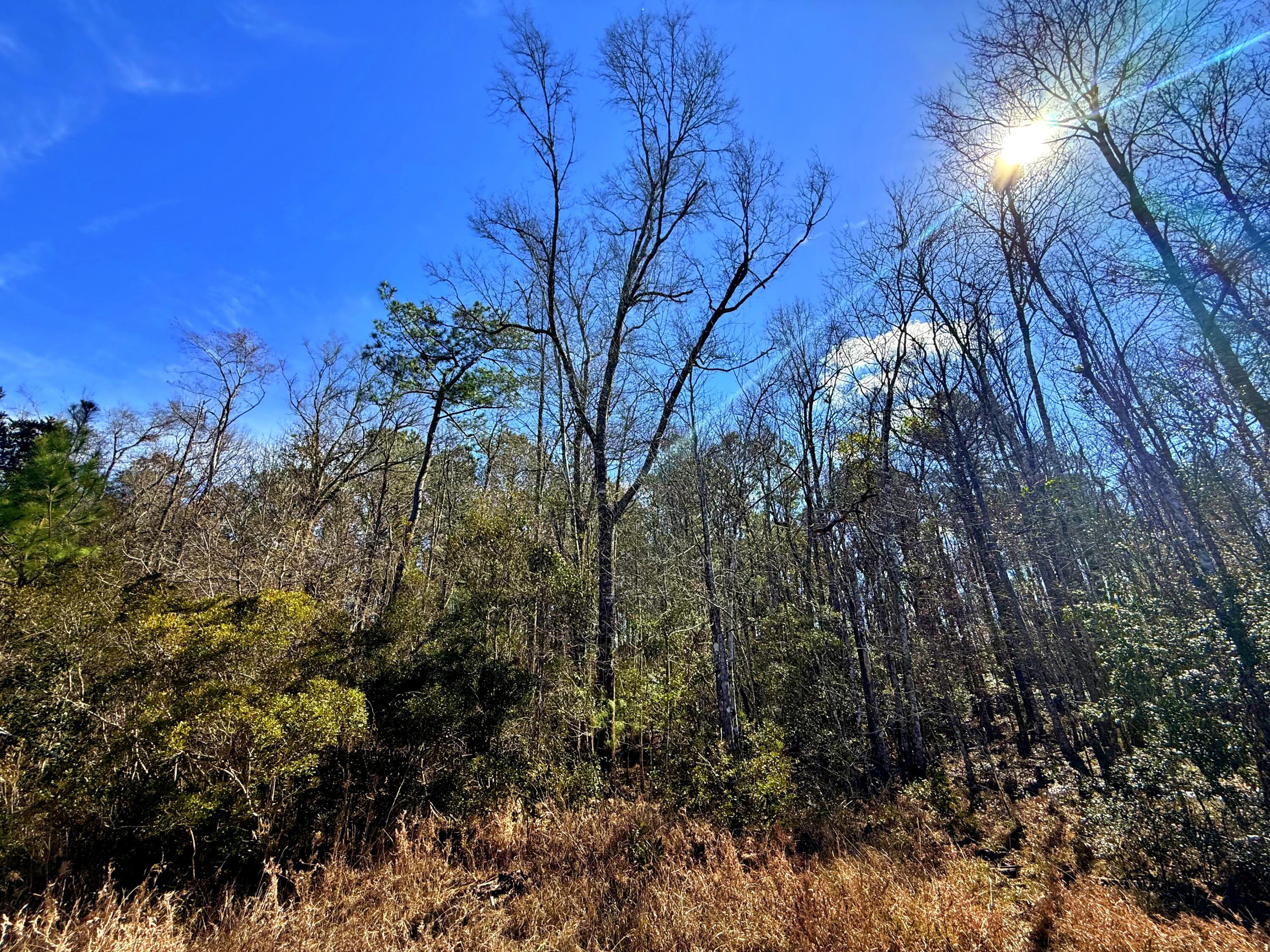 1837 Columbus Road Georgetown, SC 29440 - Photo 29 of 41 IMG_8226