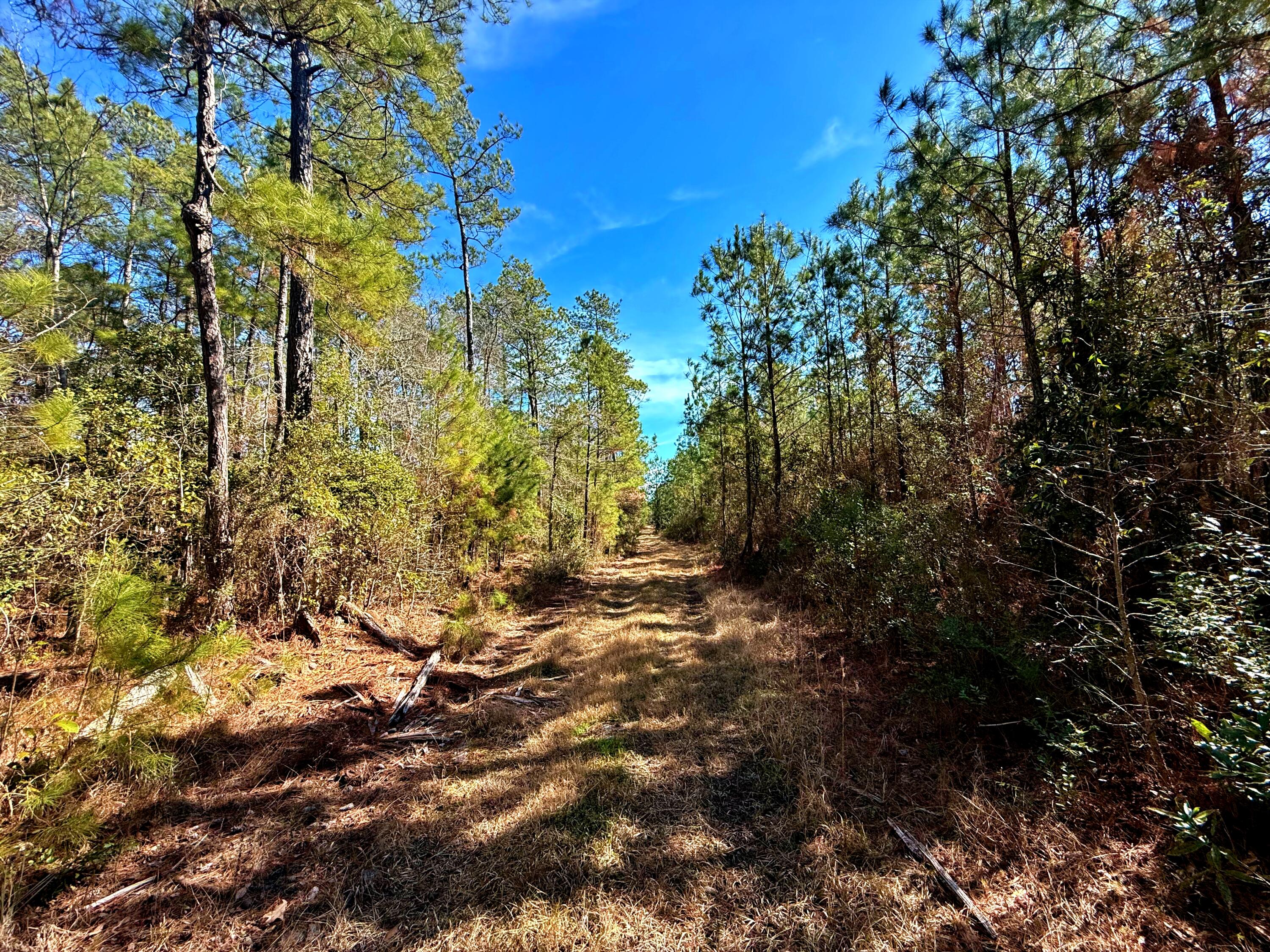 1837 Columbus Road Georgetown, SC 29440 - Photo 30 of 41 IMG_8228