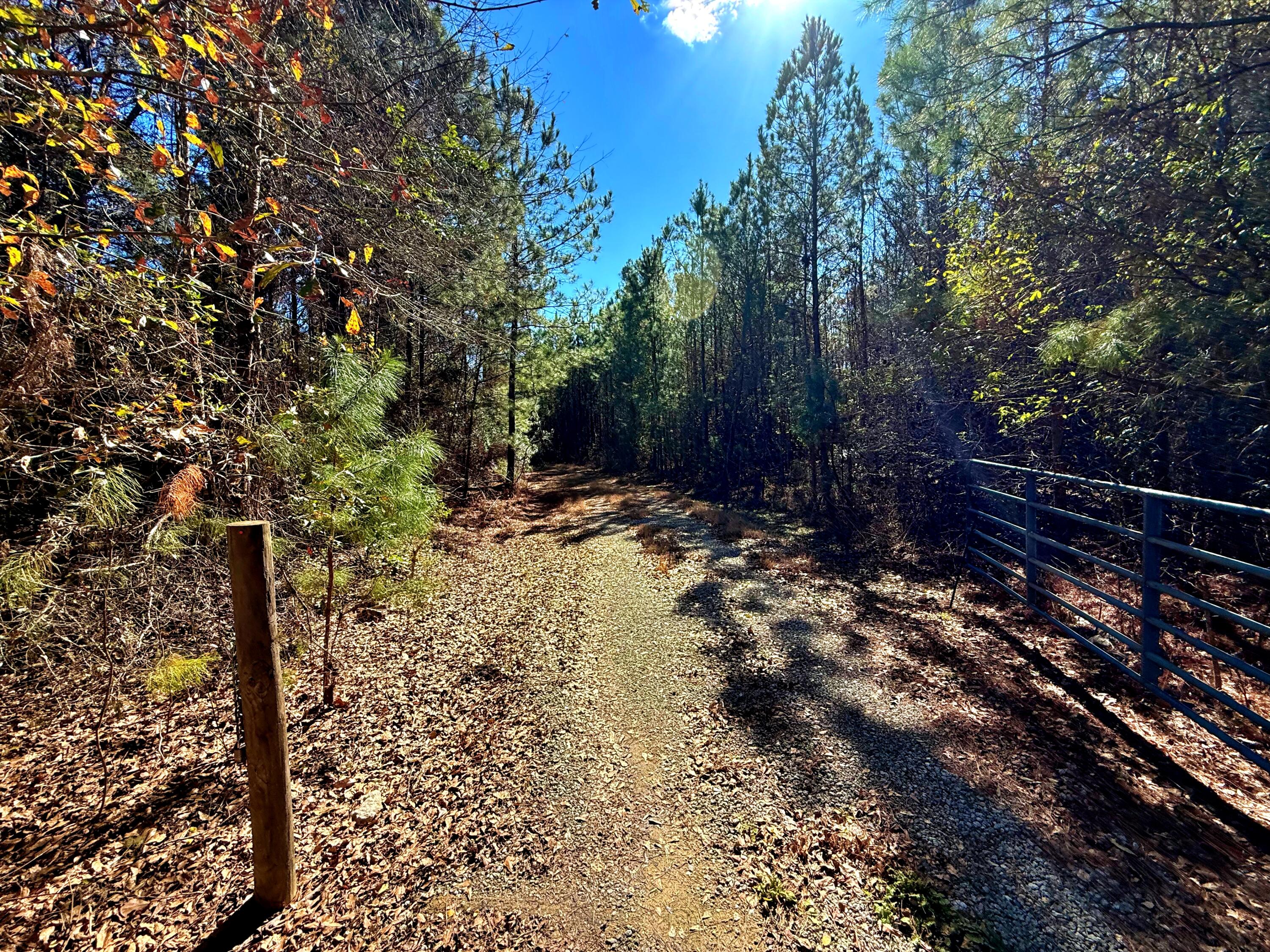 1837 Columbus Road Georgetown, SC 29440 - Photo 3 of 41 3
