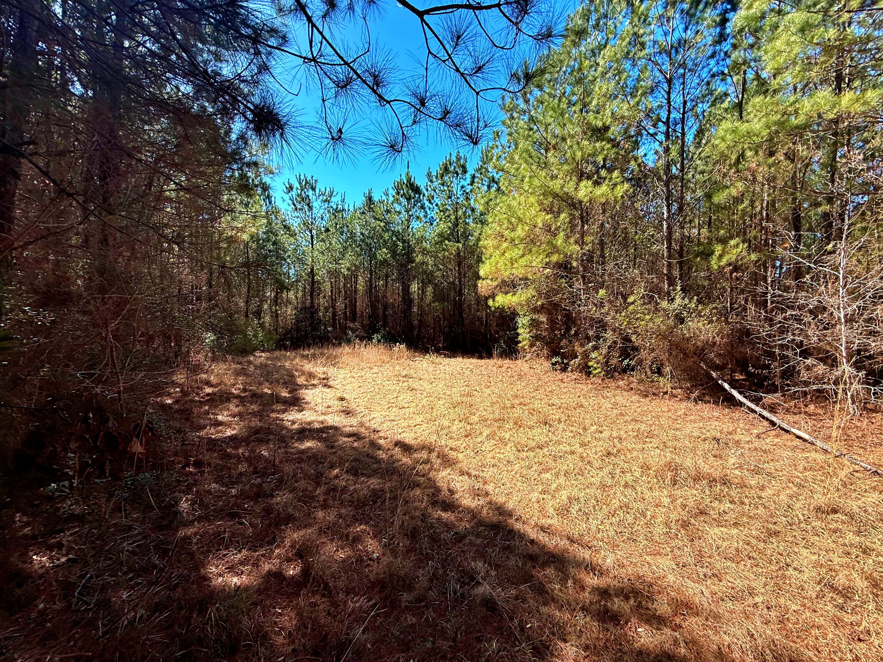1837 Columbus Road Georgetown, SC 29440 - Photo 31 of 41 IMG_8235