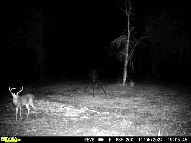 1837 Columbus Road Georgetown, SC 29440 - Photo 32 of 41 860516064475019-100-4-11052024190544-W10