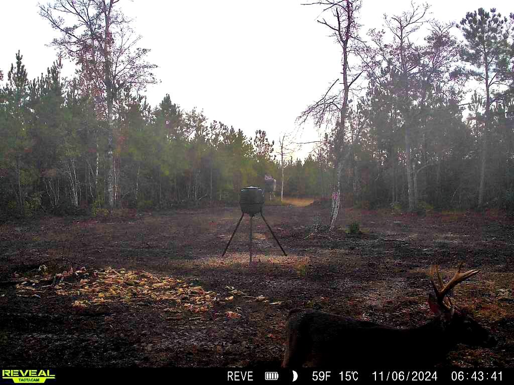 1837 Columbus Road Georgetown, SC 29440 - Photo 33 of 41 860516064475019-100-4-11062024064340-W10