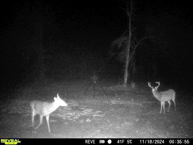 1837 Columbus Road Georgetown, SC 29440 - Photo 34 of 41 860516064475019-100-4-11182024003554-W10