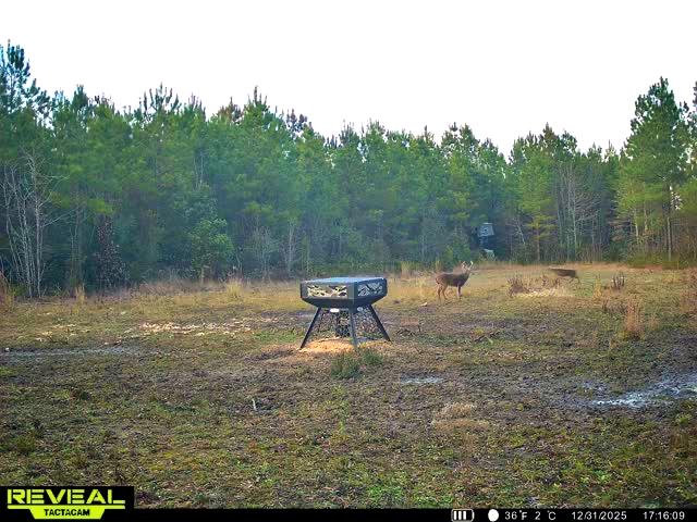 1837 Columbus Road Georgetown, SC 29440 - Photo 35 of 41 864049055298006-50-4-12312025171627-W100