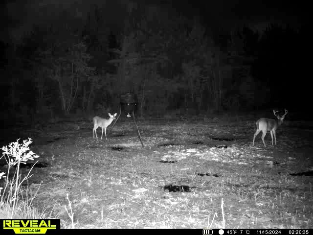 1837 Columbus Road Georgetown, SC 29440 - Photo 36 of 41 864049055298006-60-4-11152024022053-W100