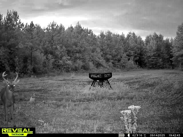 1837 Columbus Road Georgetown, SC 29440 - Photo 37 of 41 864049055298006-90-4-09142025194302-W100