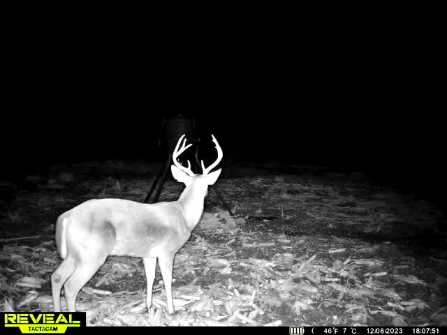 1837 Columbus Road Georgetown, SC 29440 - Photo 38 of 41 864049055298006-100-4-12082023180810-W10