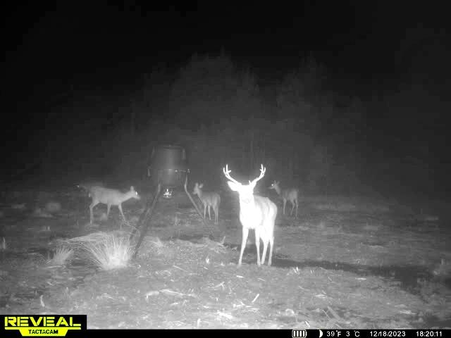 1837 Columbus Road Georgetown, SC 29440 - Photo 39 of 41 864049055298006-100-4-12182023182030-W10