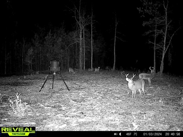 1837 Columbus Road Georgetown, SC 29440 - Photo 40 of 41 865814040422634-60-2-01032024204056-W101