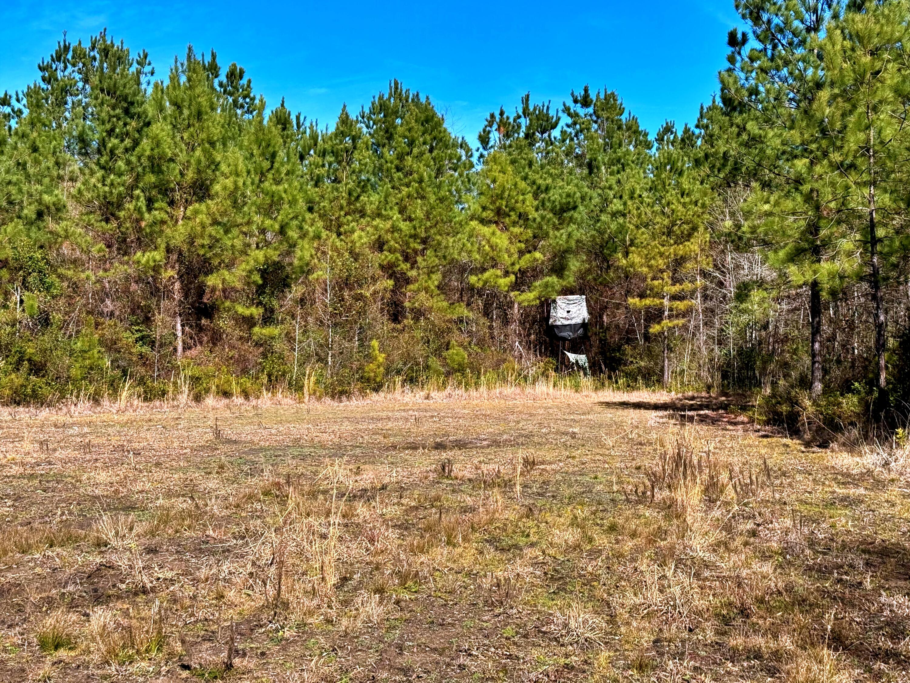 1837 Columbus Road Georgetown, SC 29440 - Photo 4 of 41 4