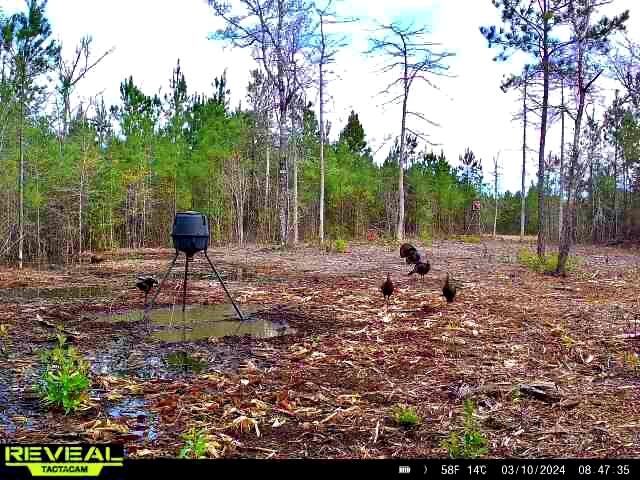 1837 Columbus Road Georgetown, SC 29440 - Photo 41 of 41 865814040422634-100-2-03102024084736-W10