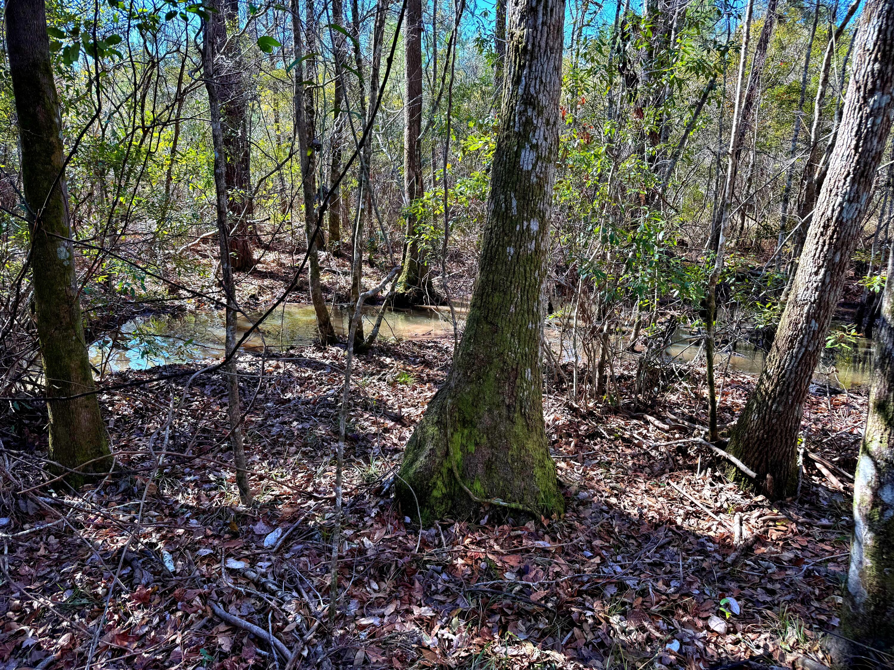 1837 Columbus Road Georgetown, SC 29440 - Photo 5 of 41 5
