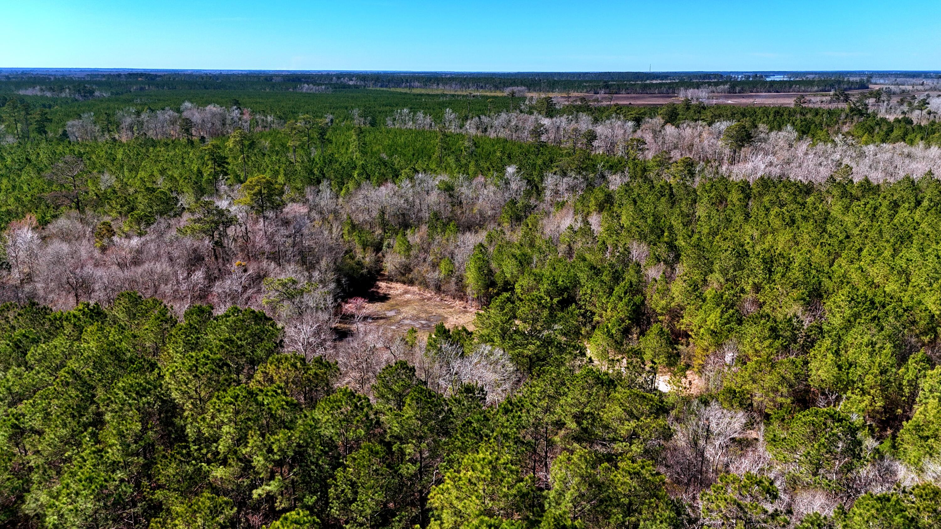 1837 Columbus Road Georgetown, SC 29440 - Photo 6 of 41 6