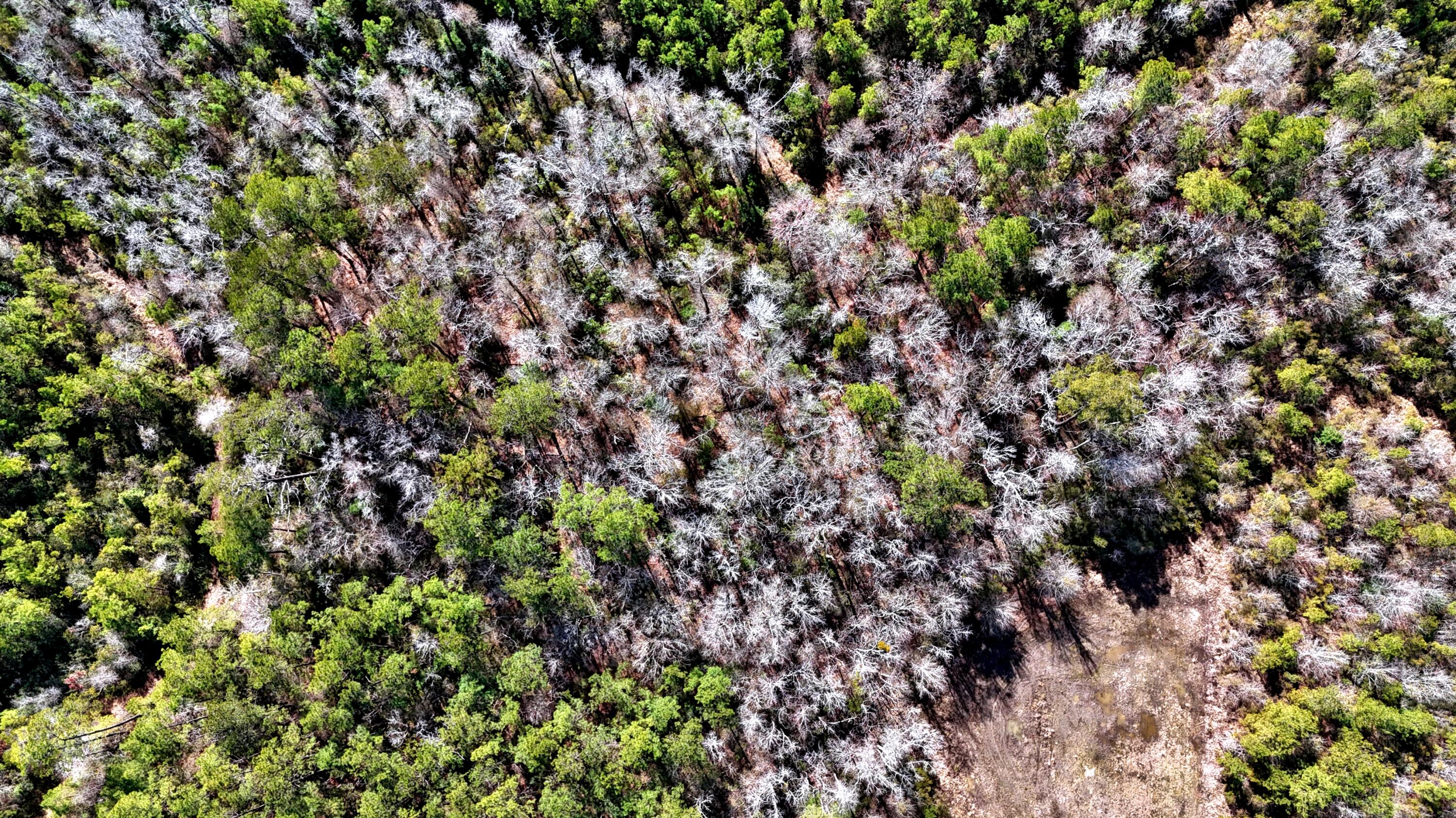 1837 Columbus Road Georgetown, SC 29440 - Photo 8 of 41 8