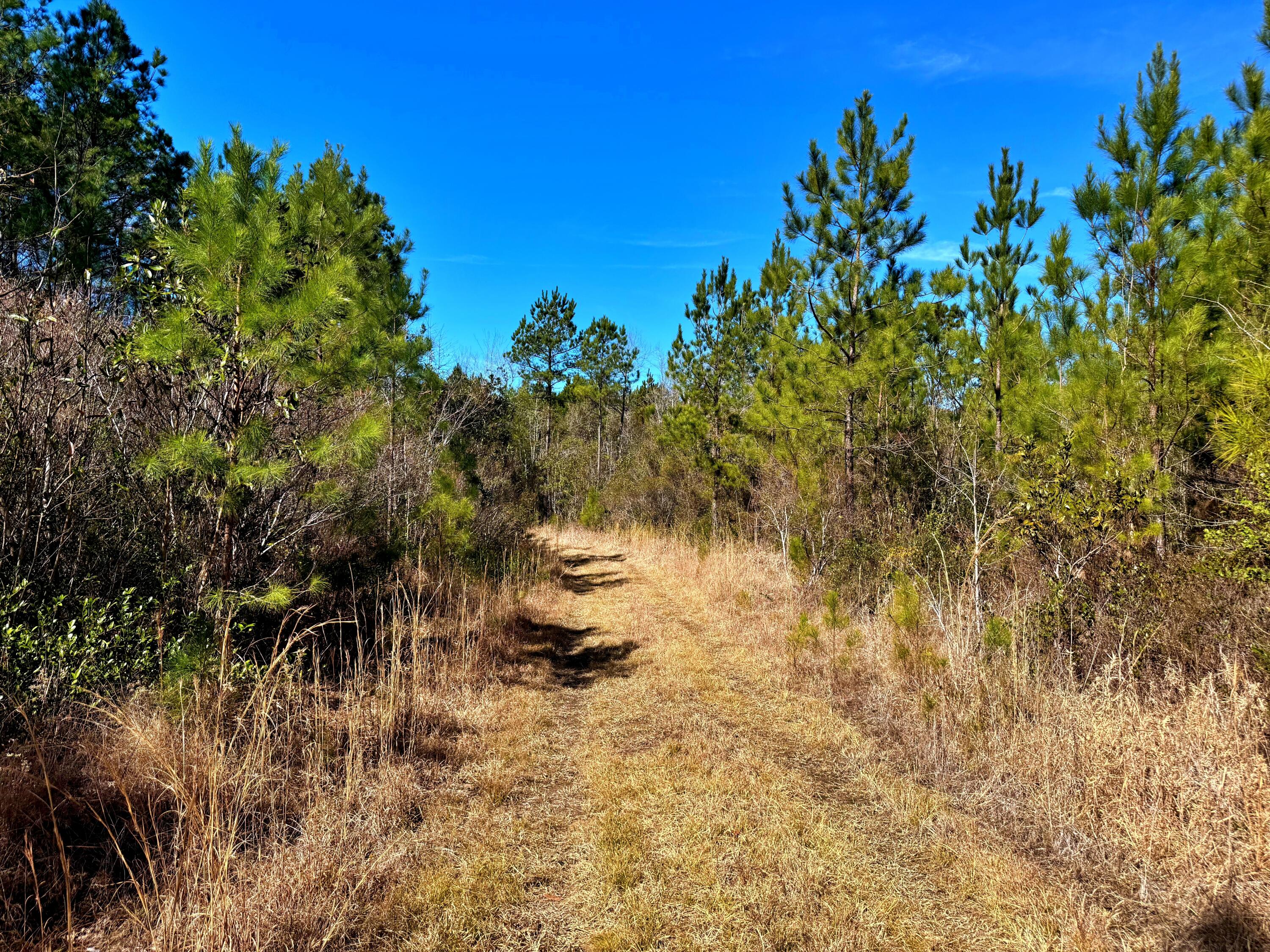 1837 Columbus Road Georgetown, SC 29440 - Photo 9 of 41 9