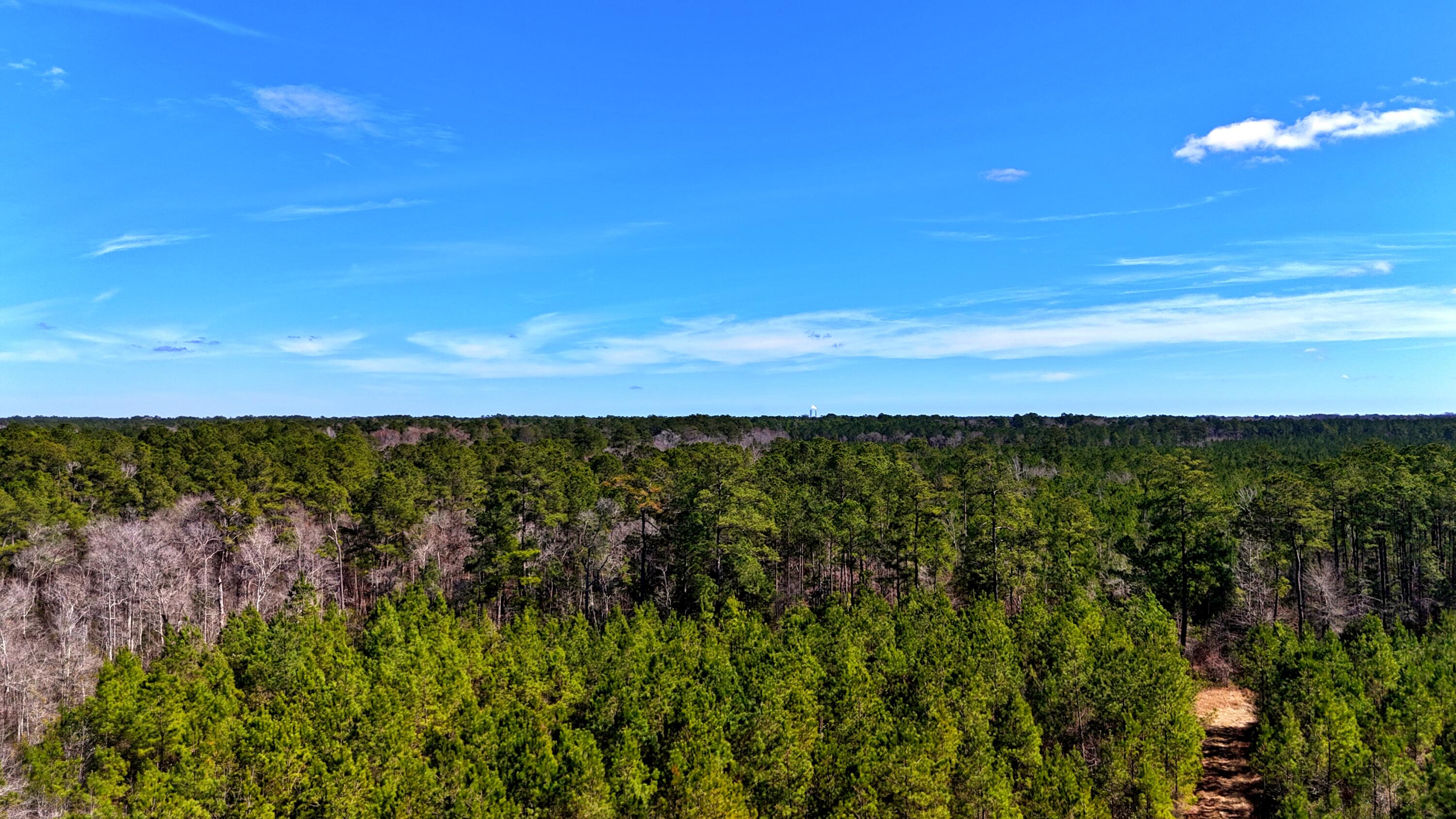 1837 Columbus Road Georgetown, SC 29440 - Photo 10 of 41 dji_fly_20260217_123354_0067_17725592428