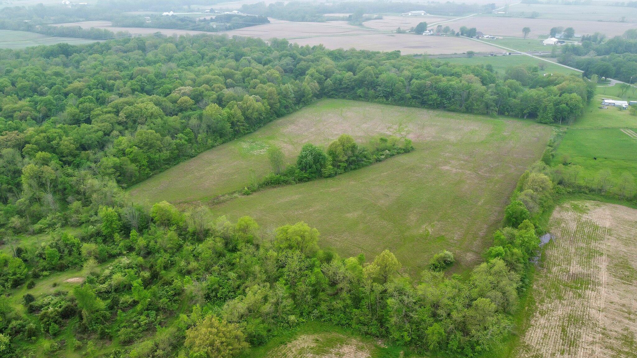 23455 Morse Road Raymond, OH 43067 - Photo 13 of 16 Tree Surround
