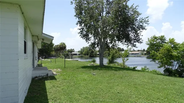 a view of a park with large trees